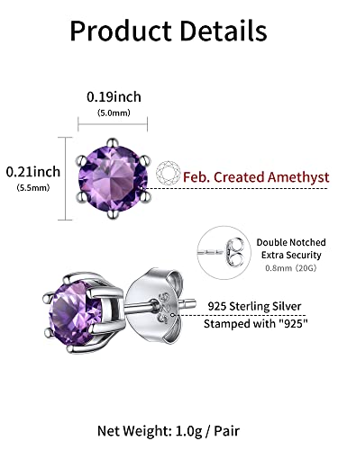 925 Sterling Silver Sparkling Heart/Round/Princess Cut Birthstone Stud Earrings for Women Birthday Jewelry (with Gift Box)
