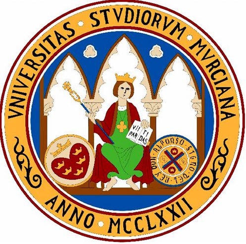 西班牙穆尔西亚大学学费是多少