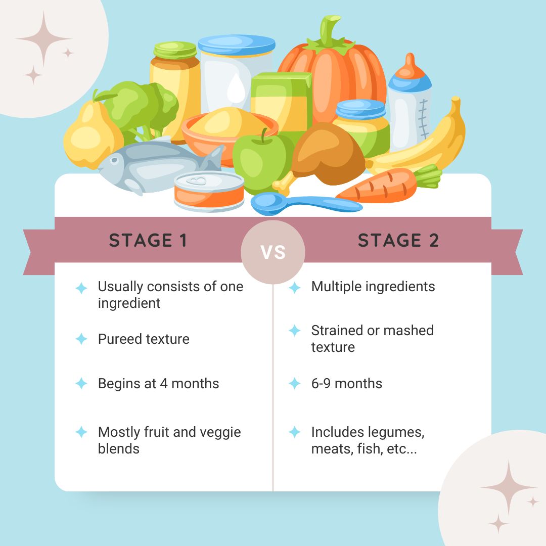 A Comprehensive Guide on Stage 2 Baby Food: The What, When, And How