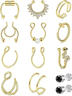 Anicina Stainless Steel, Non-Piercing, Adjustable Fake Double Nose Ring Set for Men and Women - Versatile and Comfortable - Set of 12