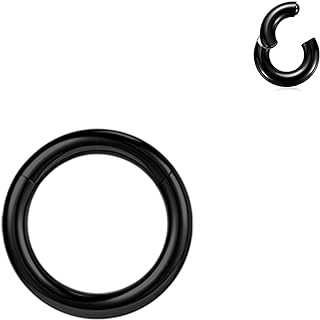 BodyAce Hinged Segment PA Nose & Septum Rings, Set of 2 - Stainless Steel - Various Sizes for Piercings - China Origin - Comfortable & Stylish Design