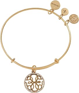 Alex and Ani Path of Symbols, Path of Life Bracelet