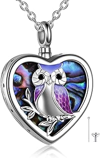 YFN Sterling Silver Owl Pendant Necklace with Rolo Chain and Lobster-Claw Clasp, Cubic Zirconia Accents, Cremation Jewelry for Women and Girls