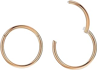 FANSING Stainless Steel Hinged Nose Ring Hoop - Versatile Accessory for Men and Women - Sleek Design, Easy Click Closure System