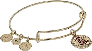 Alex and Ani Collaborations Harry Potter Houses Charm Bangle, Bangle Bracelet, Shiny Finishes, 2 To 3.5In