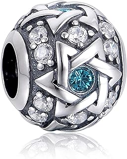 Bolenvi Authentic 925 Sterling Silver Charm Bead For Pandora & Similar Charm Bracelets or Necklaces