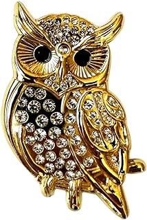 Owl Brooch - Cute Owl Bird Pin Brooches Jewelry for Women - Owl Clothes Pins Brooches 1.5"