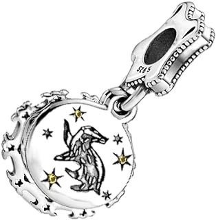 925 Sterling Silver Harry Series Dangle Charm Bracelet for Women, Elegant Epoxy Bead Design