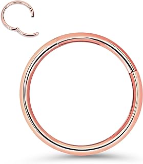 Titanium Nose Rings 20G 18G 16G Nose Rings Hoops Septum Clicker Hinged Segment Ring Cartilage Helix Tragus Conch Daith Rook Hoop Earring, Diameter 5mm to 12mm Silver-Gold-Rose Gold-Black Hoop Ring