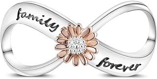 Hapour Infinity Charms fits for Pandora Charms Bracelets 925 Sterling Silver Eternal Charm Family Forever Mother's Day Jewelry Gift for Women Girl