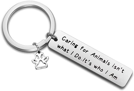 S Hook Stainless Steel Bangle Keyring Bracelet with Box Chain - Animal Lover Veterinary Jewelry - Expandable Wire Design
