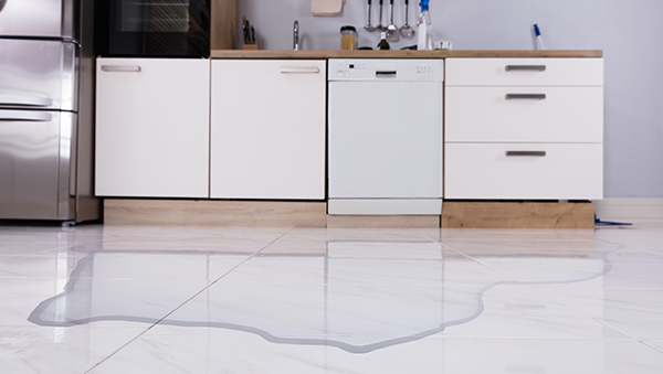 Understanding the Causes of a Dishwasher Leak: A Comprehensive Guide