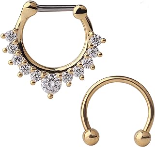 Ruifan 16G Horseshoe Circular Barbell and Nose Ear Daith Septum Clicker Ring with Clear CZ Gems 316L Surgical Steel 2-16PCS