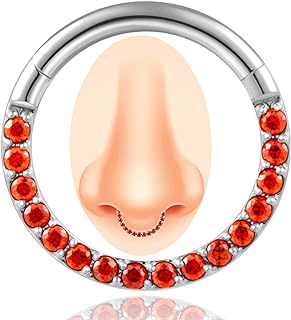 Showself 14/16/18 Gauge 6-10MM Surgical Steel Septum Clicker Rings Hinged Daith Piercing Jewelry Cubic Zirconia Small Hoops, Clear Black Pink Red Green Colorful Blue Purple