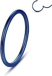 WBRWP 316L Stainless-Steel Hinged Nose Rings Hoop : 20G 18G 16G 14G Womens and Mens Body Pierecing Ring Segment Ring Lip Rings Nose Helix Cartilage Rook EarringsDiameter 6mm 8mm 10mm 12mm