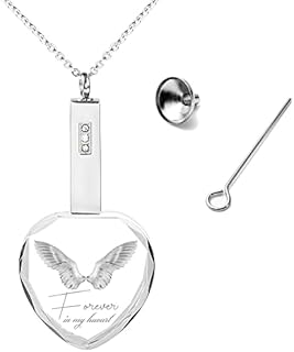 Mini Urn Necklace for Ashes-Cremation Jewelry for Ashes, Crystal Heart Urn Keepsake Memorial Ashes Necklace for Men Women
