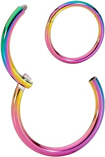 365 Sleepers 20G 18G 16G 14G 12G 10G 8G Titanium 6mm - 16mm Septum Hinged Segment Nose Lip Ring Hoop Sleeper Unisex Earrings Body Piercing Jewelry