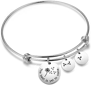 S Hook Retirement Charm Bracelet with Box Chain - Best Yet to Come Dandelion Wish Design for Women, Stainless Steel