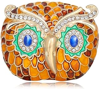 Fashion Owl Brooch Pin for Women Men CZ Crystal Vintage Animal Laple Pins Badge Brooches Corsage Scarves Shawl Clip for Clothing Dress Shirt Accessories