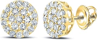 14k Yellow Gold Plated Sterling Silver Hip Hop Stud Earrings with Cubic Zirconia and Screw Back Design for Men and Women