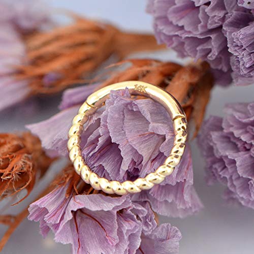Helix Earring Hoop 14K Solid Gold Daith Tragus Helix Cartilage Earring 16G Septum Piercing Hinge Segment Rings Hoop