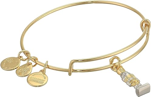 Alex and Ani CBD19HOL02TTSG,Charity By Design, Nutcracker Expandable Bangle Bracelet,Two Tone,Gold/Silver, Bracelet