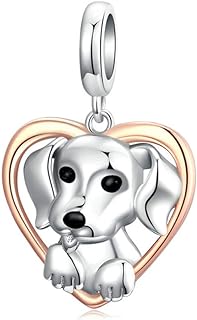 ARTCHARM Family,Rainbow,Penguin Charms 925 Sterling Silver Beads Fit Women's Bracelets & Necklaces, Happy Birthday Charms for Women Girls Boy Men (Love my Dog Charm)