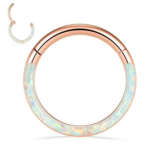 Septum Ring Septum Jewelry Septum Clicker Daith Rook Helix Conch Tragus Piercing Jewelry 316L Surgical Steel Nose Ring Hoop Cartilage Daith Helix Earring 20G 18G 16G 14G