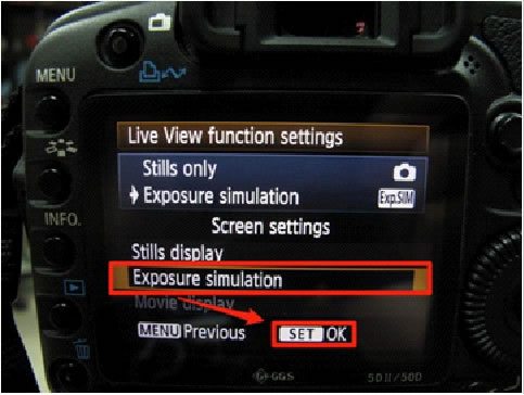 Decoding Photography: What Does Exp Sim Mean on Your Camera?