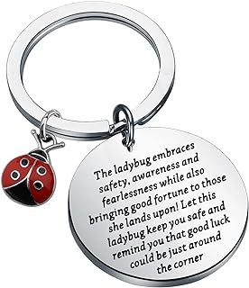 Lucky Ladybug Keychain Brooch with Stainless Steel Chain for Animal Lovers, Round Shape
