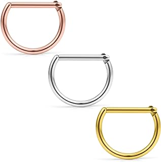 Ruifan Stainless Steel 16g 10mm D-Shaped Segment Hoop Nose Ring for Septum, Lip, Helix and Tragus Piercings