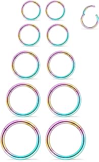5 Pairs 16G Nose Rings Hoops 316l Surgical Steel Septum Jewelry Hinged Segment Clicker Lip Ring Cartilage Tragus Rook Earrings Hoop 8mm 10mm 12mm 14mm 16mm Silver Black Gold Rainbow Rose Gold