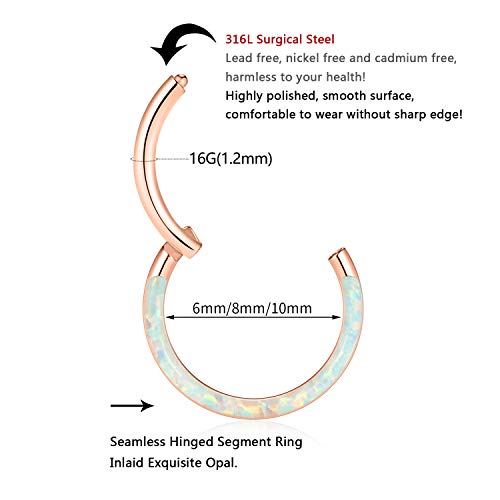Septum Ring Septum Jewelry Septum Clicker Daith Rook Helix Conch Tragus Piercing Jewelry 316L Surgical Steel Nose Ring Hoop Cartilage Daith Helix Earring 20G 18G 16G 14G