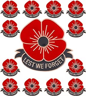 HAFILO Poppy Flower Brooch Pins in Durable Zinc Alloy with Secure Pin Clasp - Memorial Day, Veterans Day Tribute Accessories in Bulk
