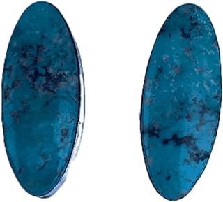 Nizhoni Traders Women’s Navajo Turquoise Earrings | Casual Partywear Stud Earring | Native American Jewelry Gift for Her (Blue)