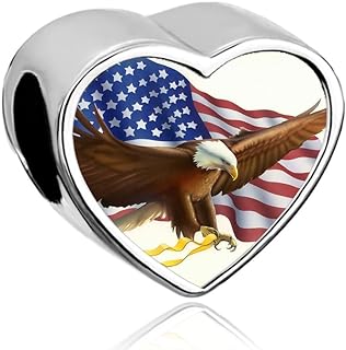 CharmSStory USA Flag Design Eagle Post Heart Photo Charm Independence Day Beads for Bracelets