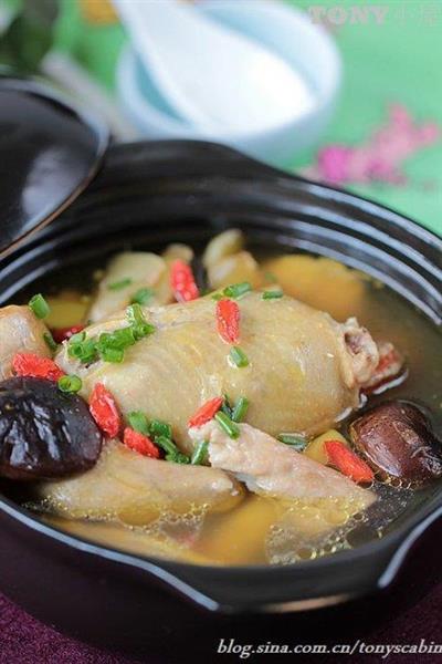 炖鸽子汤的正宗做法