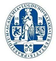 莱顿大学费用一年多少