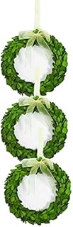 Preserved Round Boxwood Mini Wreaths 6 inch with Ivory Mesh Hanging Ribbon for Indoor/Outdoor Decor, Door Wall Window Wedding Essentials, Pack of 3 - BOXWOOD VALLEY