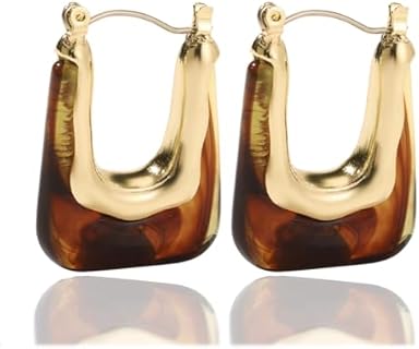 Versatile Brown Hoop Acrylic Earrings with Zinc Clasp - Minimalist Geometric Design for Women or Girls