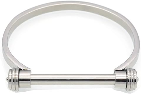 Globalwells Stainless Steel D Shape Bar Screw Shackle Bracelet Horseshoe Novelty Fashion Bangle Cuff, Unisex