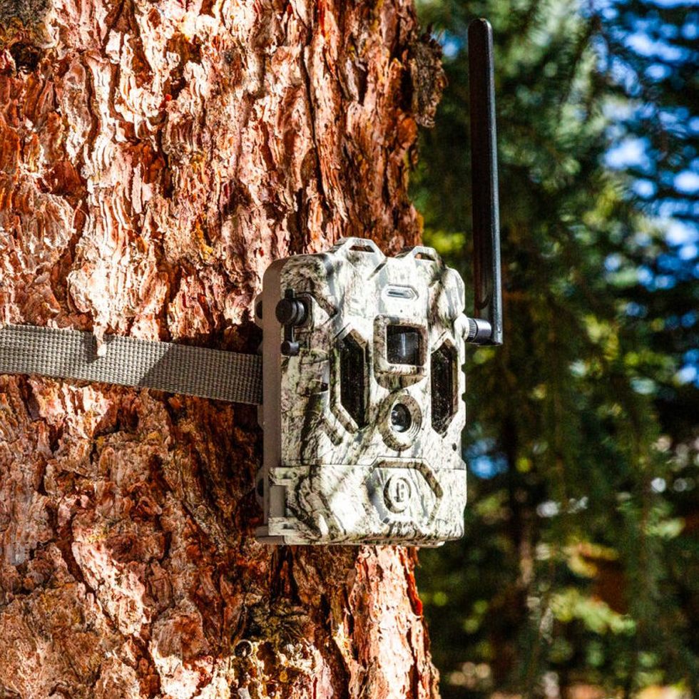 The Ultimate Guide: What is a Game Camera And How to Use It Effectively