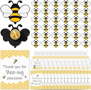 Bumble Bee Brooch with Butterfly Clasp, Organza Gem Employee Appreciation Gift for Coworkers - Charming Bee/Honeycomb Design