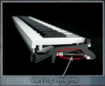 Mastering the Music: A Comprehensive Guide to Weighted Keyboards