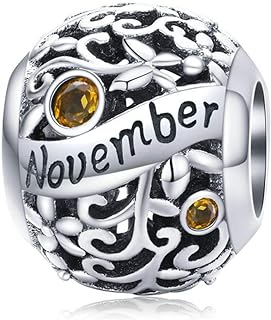 Birthstone Charms for Charms Bracelet 925 Sterling Silver Bead Crystal Charms Happy Birthday Charms for DIY Bracelet and Necklace