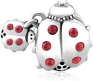 Lovans 925 Sterling Silver Charms for Bracelets and Necklaces Bracelet Charms for Women Birthday Graduation Gifts with Gift Bag