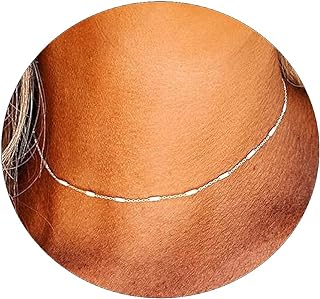 Lobster Clasp Silver Dainty Choker Necklace - No Gemstone Women's 14K Silver Plated Brass Jewelry in Minimalist Design