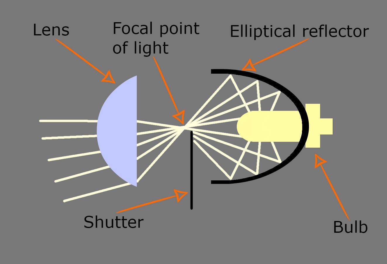 Shining the Spotlight on Projector Headlights: What Do They Really Look Like?