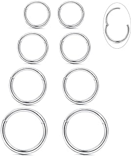 LOYALLOOK 8Pcs G23 Titanium Hinged Clicker Segment Nose Rings Hoop Septum Nose Lip Ring Hoop for Women Men Helix Cartilage Daith Tragus Sleeper Earrings Body Piercing Improved 16G