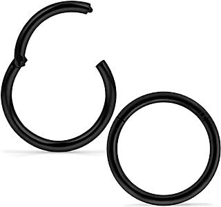 Yaalozei Surgical Stainless Steel Hinged Segment Hoop Nose Ring Plug with Cubic Zirconia Gem for Unisex, Versatile Body Piercings in Silver/Rose Gold/Black, 1mm Thickness and 8mm Inner Diameter